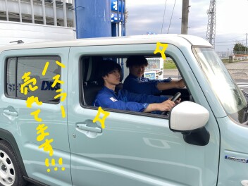 ！！春の大商談フェア！！