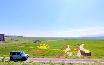 田んぼアートwithハスラー☀️