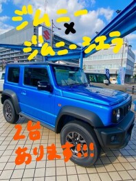 ☆１１月１５日限定展示☆