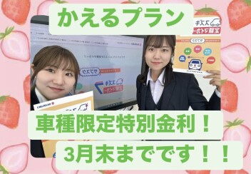 かえるプランをご存じですか？？