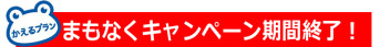 まもなくキャンペーン期間終了！