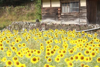 宇和島おすすめスポット紹介