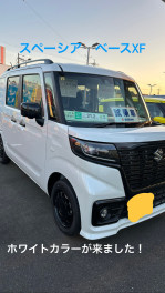 新しい試乗車！！