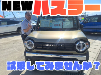 NEWハスラー乗れます！