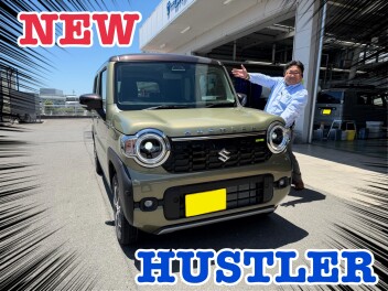 ハスラー試乗車入りました！