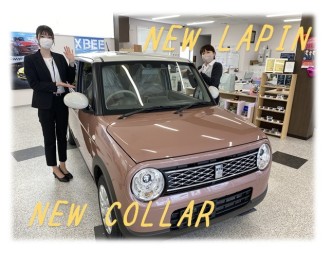 NEWラパン☆入荷☆
