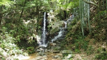 岩巣山に登ってきました！