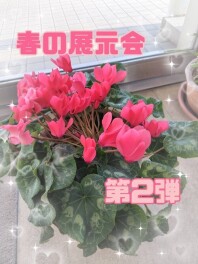 春の展示会★第２弾！