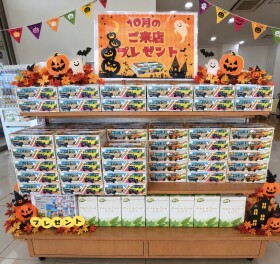 週末展示会開催！