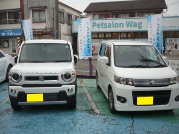 新車ハスラー納車しました。