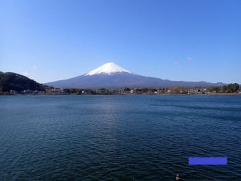 キャリイとスーパーキャリイ