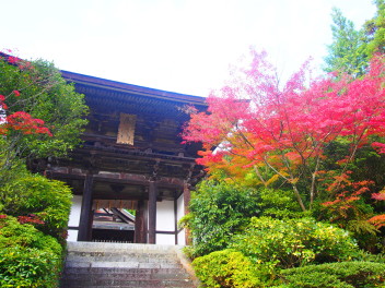 きたやまのひとりごと・・・