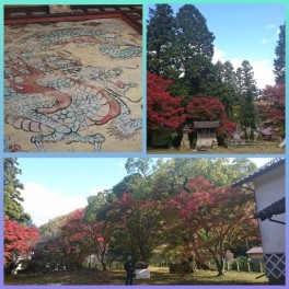 紅葉オススメスポット（城上神社）