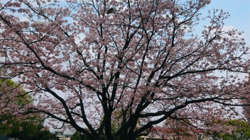 高須北ノ丸公園