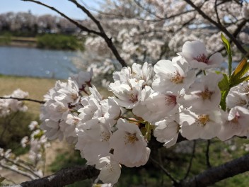 長期休業のお知らせ