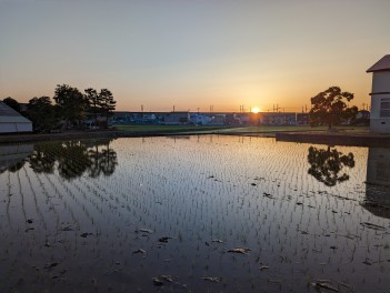 水田に映る夜景の美しさ　フォト男子のPhotograph　memory