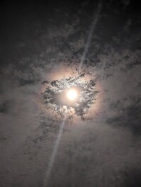 スーパームーンしか勝たん　10/17　Super　Moon　Night