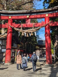 福島　伊佐須美神社しか勝たん　パワースポット　パワー男子の神妙にしなはれや