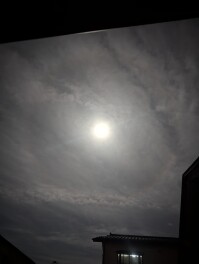 十五夜の月