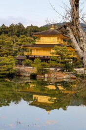 お正月皆さんどこいきましたか？