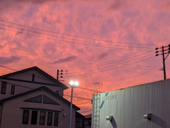 とある日アリーナ長岡の夕焼け　Photograph男子の夕焼け日記　