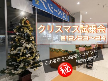 クリスマス試乗会⛄