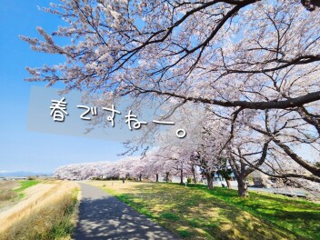 °˖✧　今週のオススメ車のご紹介　✧˖°