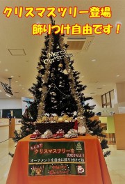 もうすぐクリスマス！