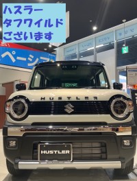 ハスラータフワイルドございます