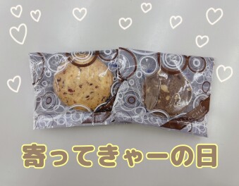 寄ってきゃーの日