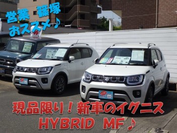 コンパクトで扱いやすいイグニス！軽自動車からのステップアップにもおススメ♪