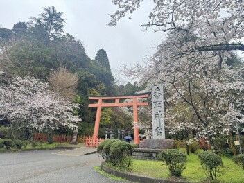 お花見！！
