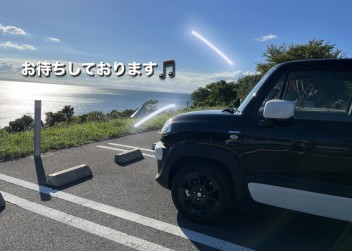 今週末は、展示会です♪