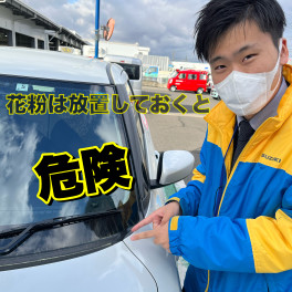 花粉が多い時期は早めの洗車を！