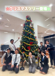 クリスマスツリー登場！！