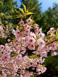 新人ふくはらのふくちゃんブログ