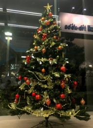 鎌倉店に大きなクリスマスツリーが登場♪