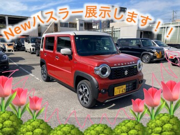 週末展示会のお知らせです♪