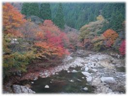 紅葉といえば