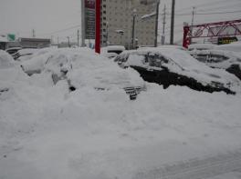 雪掻き・・・もぉたくさんです(-"-)