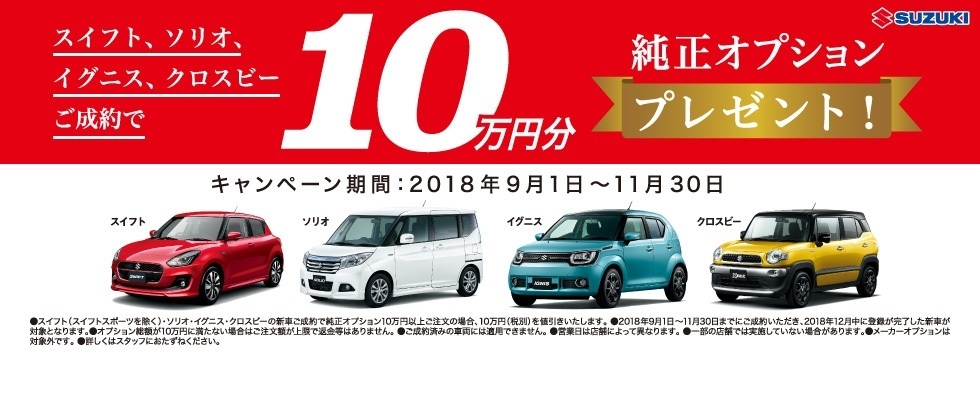 オプション１０万