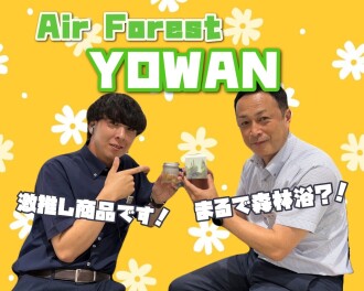 ☆YOWAN☆車用エアキューブ！