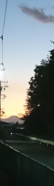 11月もアリーナ狭山ヶ丘へ！
