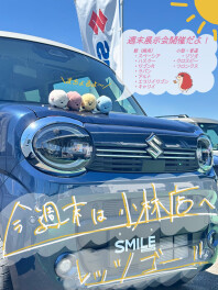 週末展示会開催！！