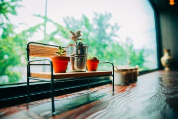 ９月限定ドリンクのご案内 〇゜