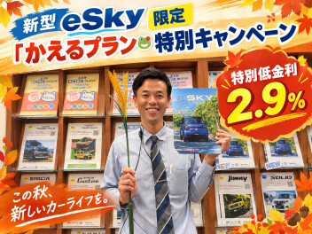 新型 e Sky限定「かえるプラン」特別キャンペーンのご案内