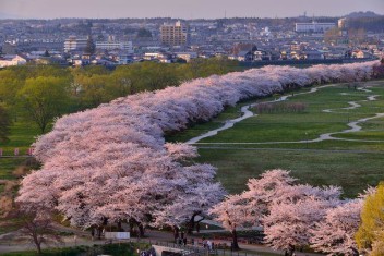 お花見～～✿