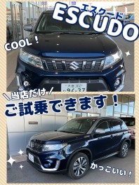 スイフトの即納車＆エスクードのご試乗車　ございます★★★