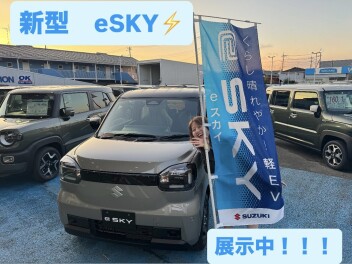 新型　ｅＳＫＹ　来たぁ！