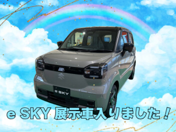 e SKYの展示車が入りました！！！